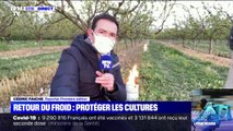 Retour du froid: des bougies pour protéger les vergers