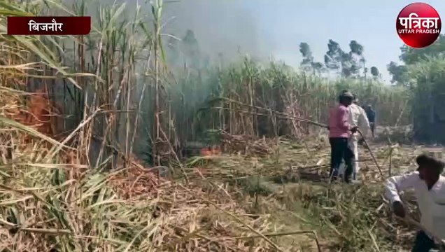 50 बीघा गन्ने की फसल जलकर खाक