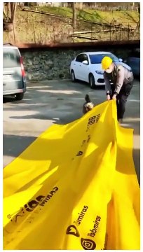 İBB Genel Sekreter Yardımcısı Mahir Polat: İstanbul sokak kedileri ve köpekleri ile çok güzel