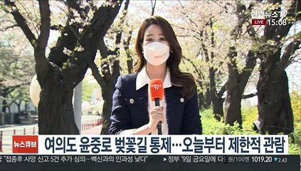 [날씨] 윤중로 벚꽃길 제한적 관람…전국 포근한 봄날씨