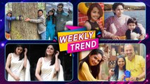 Celebrity Weekly Trend - EP. 45 सध्या 'हे' कलाकार काय करतात Chinmay Mandlekar, Gautami Deshpande