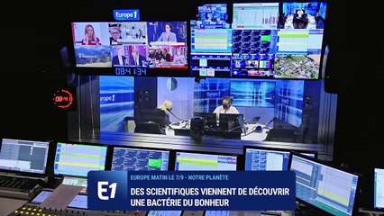 Bactérie du bonheur : la découverte scientifique qui fait du bien