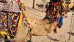 Aliza Sehar Vlogs - Khadija Info Cholistani  Camel Riding - Rajasthan