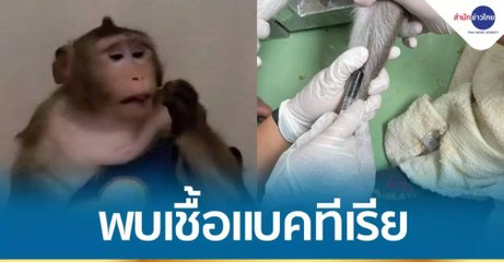 ข่าวเที่ยง (ช่วงที่ 2) วันจันทร์ที่ 5 เมษายน 2564