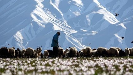 YÜKSEKOVA'DA KARDELEN GÜZELLİĞİ