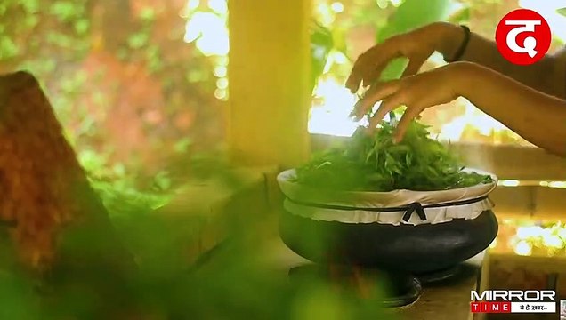 Most Expensive Tea In India Worth 25,000 | Duniya Ki Sabse Mehngi Chai | #Tealover​