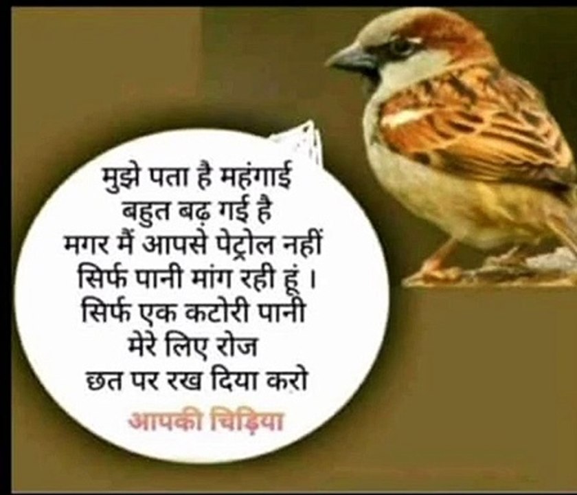 गर्मी में पक्षी प्यासे नहीं रहे इसको लेकर बाबा रामदेव समिति व समर्पण सेवा समिति नगर में सकोरे वितरण किए