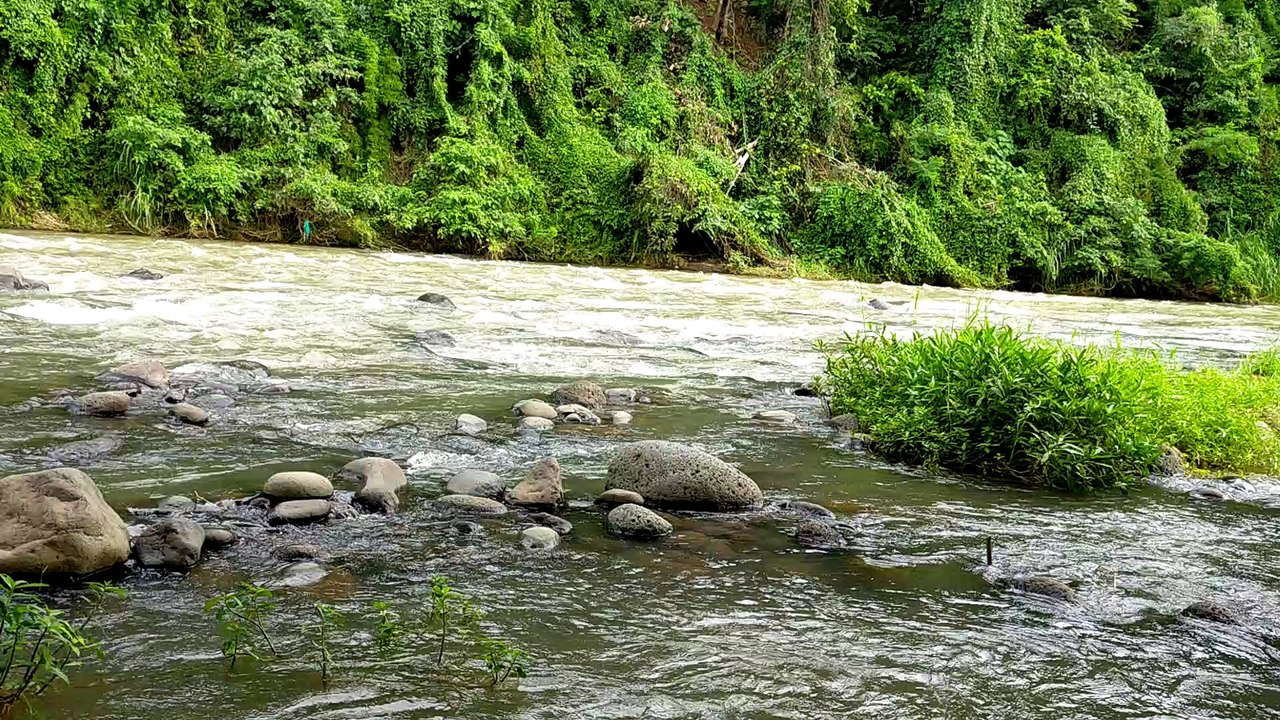River Flow
