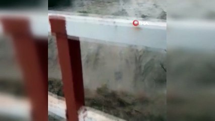 Sağanak yağışın ardından dereler taşma noktasına geldi