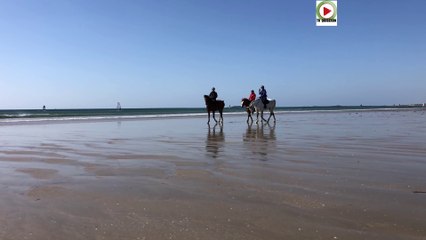 Plouharnel   |  Adieu la Plage - TV Quiberon 24/7