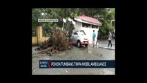 Pohon Tumbang Timpa Mobil Ambulance Milik Dinkes Sulsel