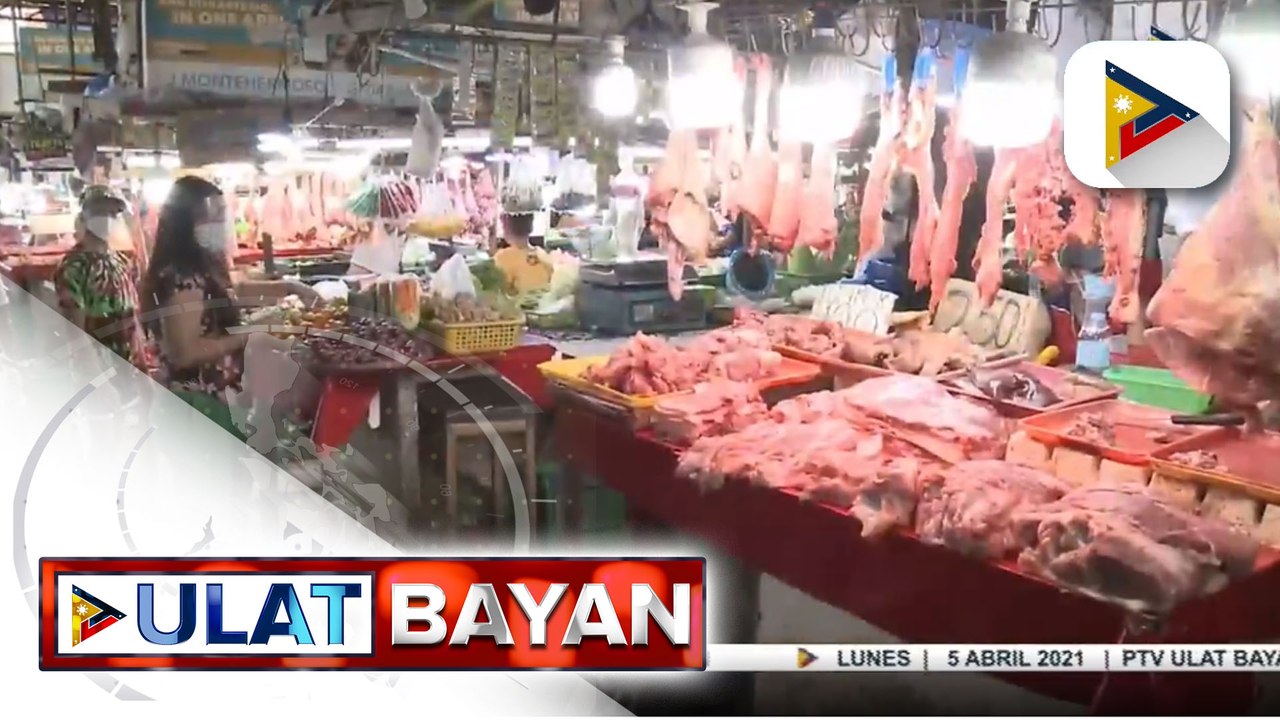 Pig holiday, inumpisahan ng ilang hog raisers bilang protesta vs. pagdami ng imported pork ; Department of Agriculture, hinikayat ang hog raisers na ibenta pa rin ang kanilang baboy