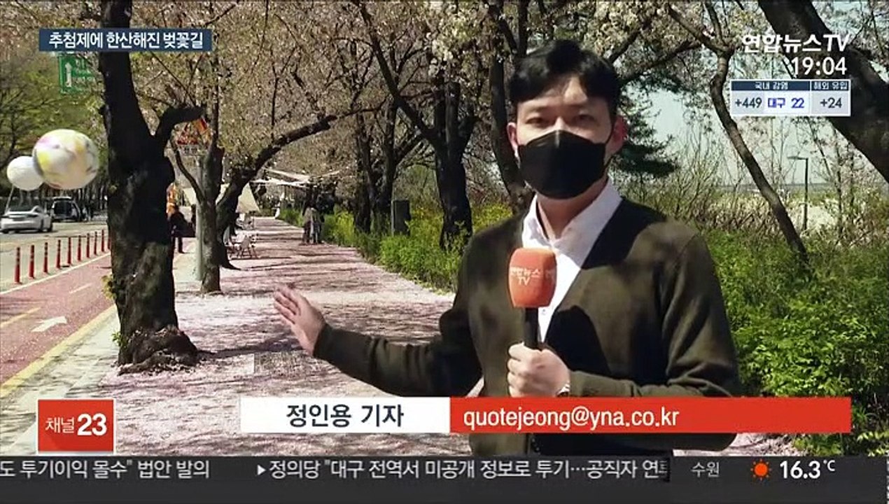 여의도 벚꽃길 추첨제에 한산…"사람 적어서 좋아요"