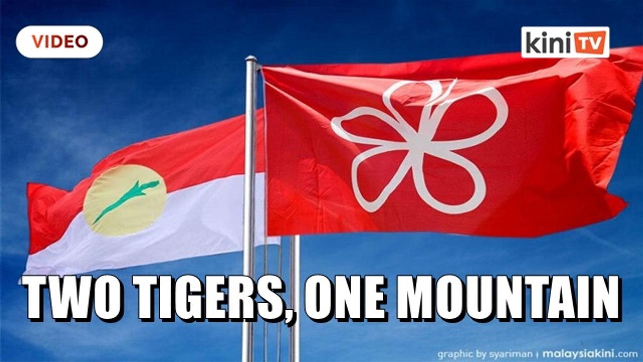 Umno, Bersatu are brothers with the same love interest, says Chin Huat