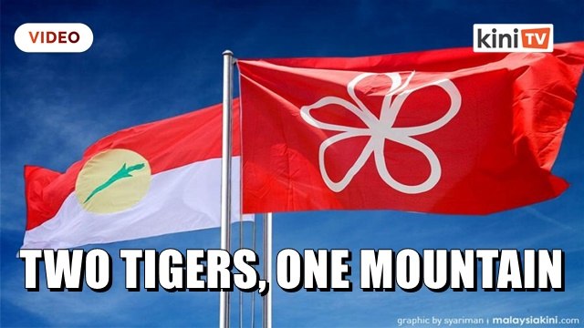 Umno, Bersatu are brothers with the same love interest, says Chin Huat