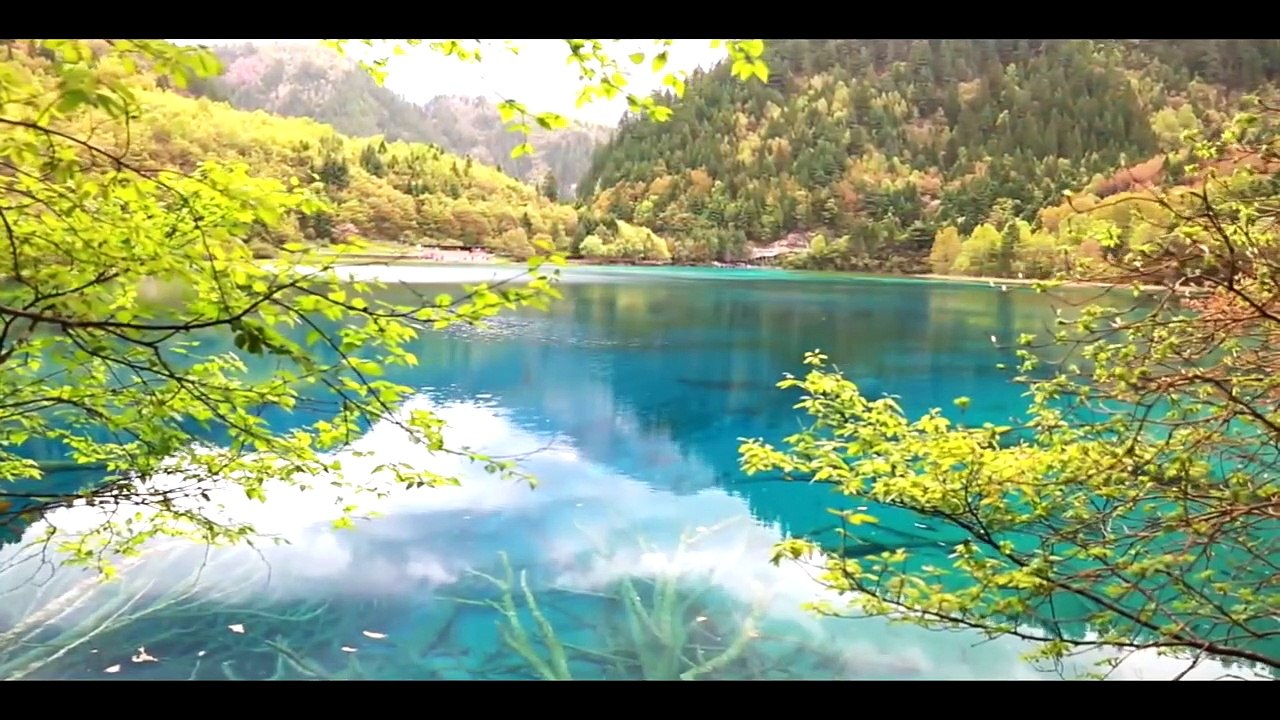 Relaxing Music for Stress Relief _ Soothing Music for Meditation