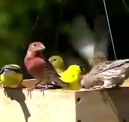 Best videos, Top videos, Viral videos Funny videos no. 27