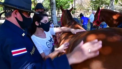 Au Costa Rica, des chevaux pour soigner les troubles cognitifs et la dépression