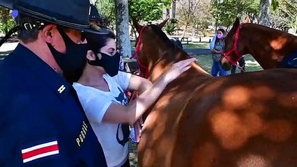 Au Costa Rica, des chevaux pour soigner les troubles cognitifs et la dépression
