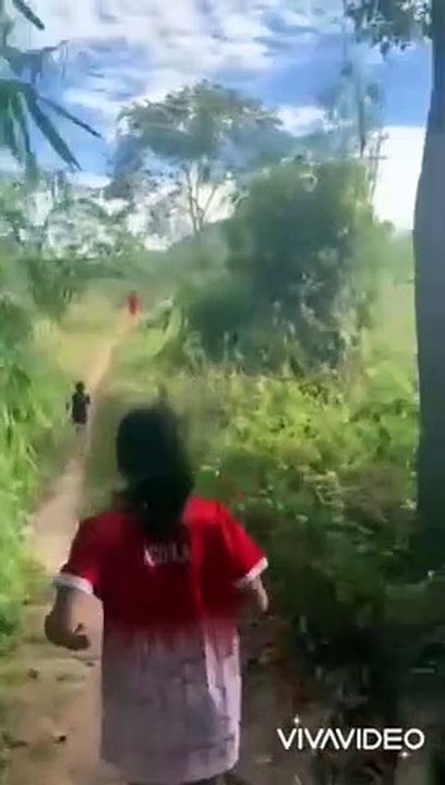 Trail run