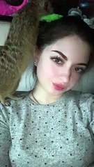 Curious Meerkat Investigates Inside Nostril