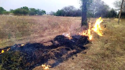 Cleaning field with fire