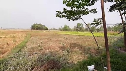 Agricultural Land in Nepal