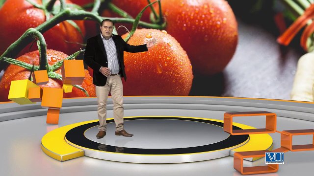 118 Graphic Design Software Adobe Photoshop Technique of Clipping Mask