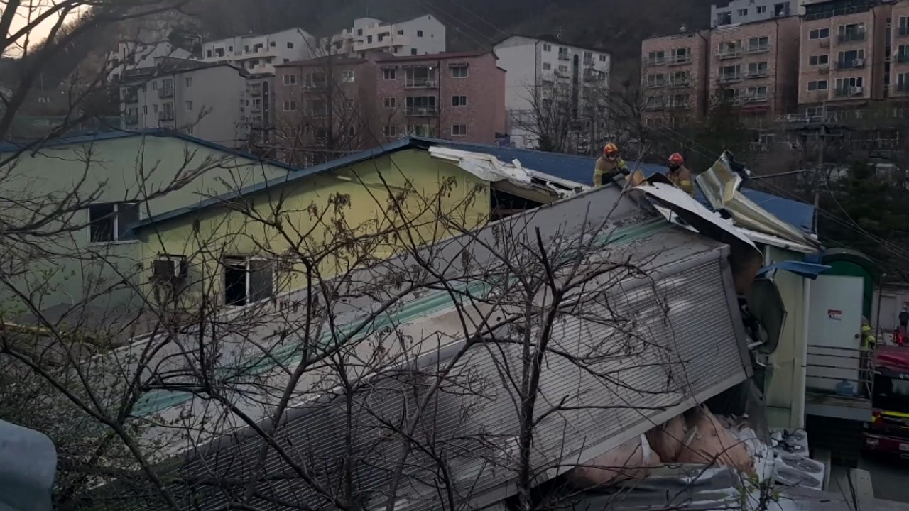 달리던 화물차 5m 언덕 아래로 추락...40대 운전자 숨져 / YTN