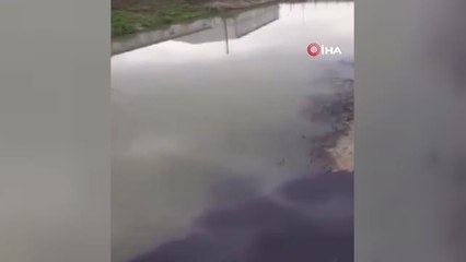 Fabrikaların arasından geçen dere simsiyah aktı