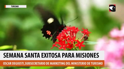 Semana santa exitosa para Misiones