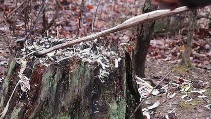 Making A Quick Primitive Bow And Arrow For Survival With Only A Knife