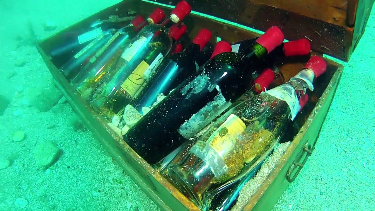 Wein: Mehr Geschmack aus dem Meer