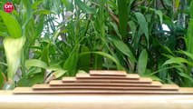 Amazing Ideas - Diy Waterfall Fountain Aquarium From Bamboo  And Styrofoam Simple