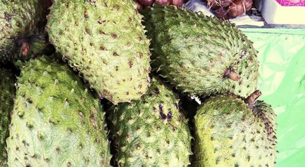 Discover Soursop: The Tropical Fruit with Big Health Claims 🍈