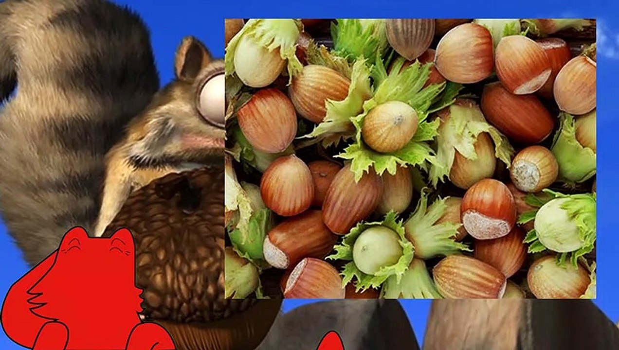 Cinéma d'un Poulpe -  L'âge de glace : l'aventure inédite de Scrat (Gone Nutty)