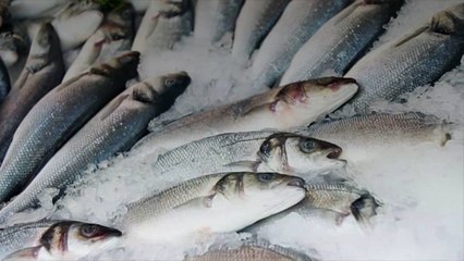 Beginner's Guide To Buying and Cooking Seafood