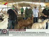Agroinversión El Triunfo impulsa más 400 ovinos y caprinos para el desarrollo del sistema productivo