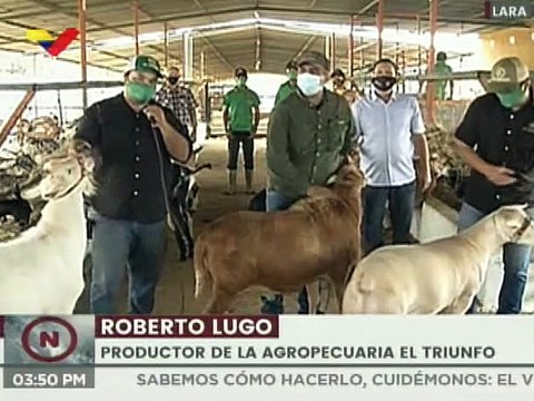 Agroinversión El Triunfo impulsa más 400 ovinos y caprinos para el desarrollo del sistema productivo