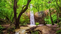 Relax to the sound of nature. Waterfall. Water, birdsong, birds, forest, river, spring, sleep, relax