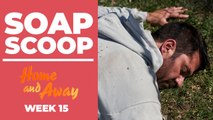 Home and Away Soap Scoop! Ari is run over