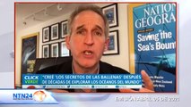 Exclusivo: Habla en Click Verde Brian Skerry, protagonista de “Los Secreto de las Ballenas”