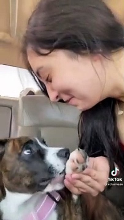 Funny dog reaction to this prank