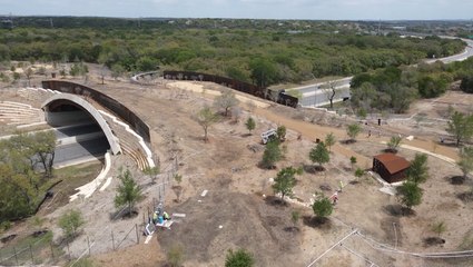 Land bridges for wildlife paying off