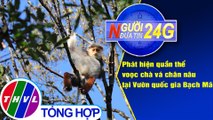Người đưa tin 24G (18g30 ngày 5/4/2021) - Quần thể voọc chà vá chân nâu tại Vườn quốc gia Bạch Mã
