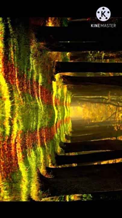 jannat me jane wali aurat