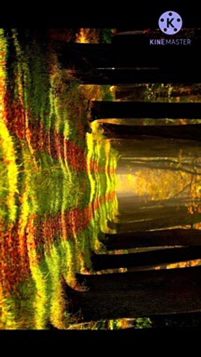 jannati aurat ke sifaat