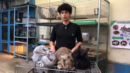 Episodio 62.- NCC en Señal Informativa 06 al 12 de abril de 2021