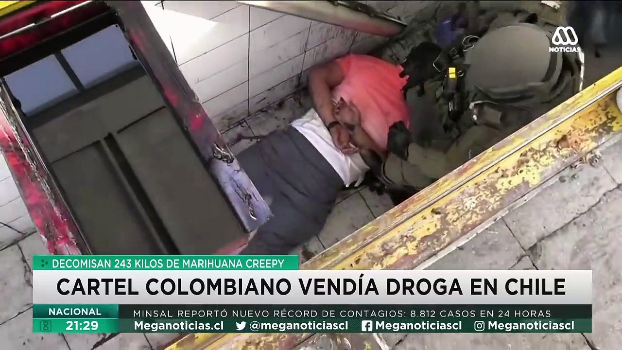 Desarman cartel colombiano que vendía droga en Chile - Ahoranoticias
