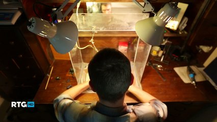 229 Ювелирный дом Анна Нова